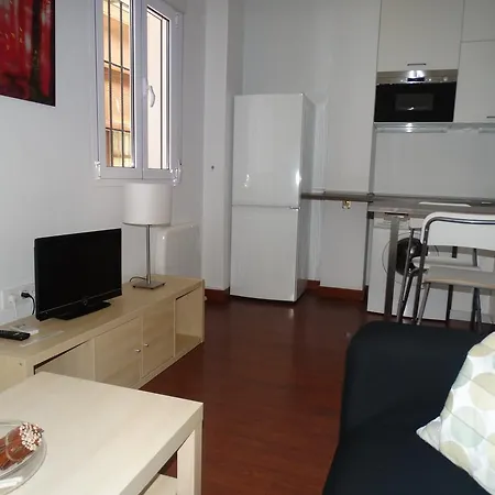 Apartment - Pozos Dulces, 22 *